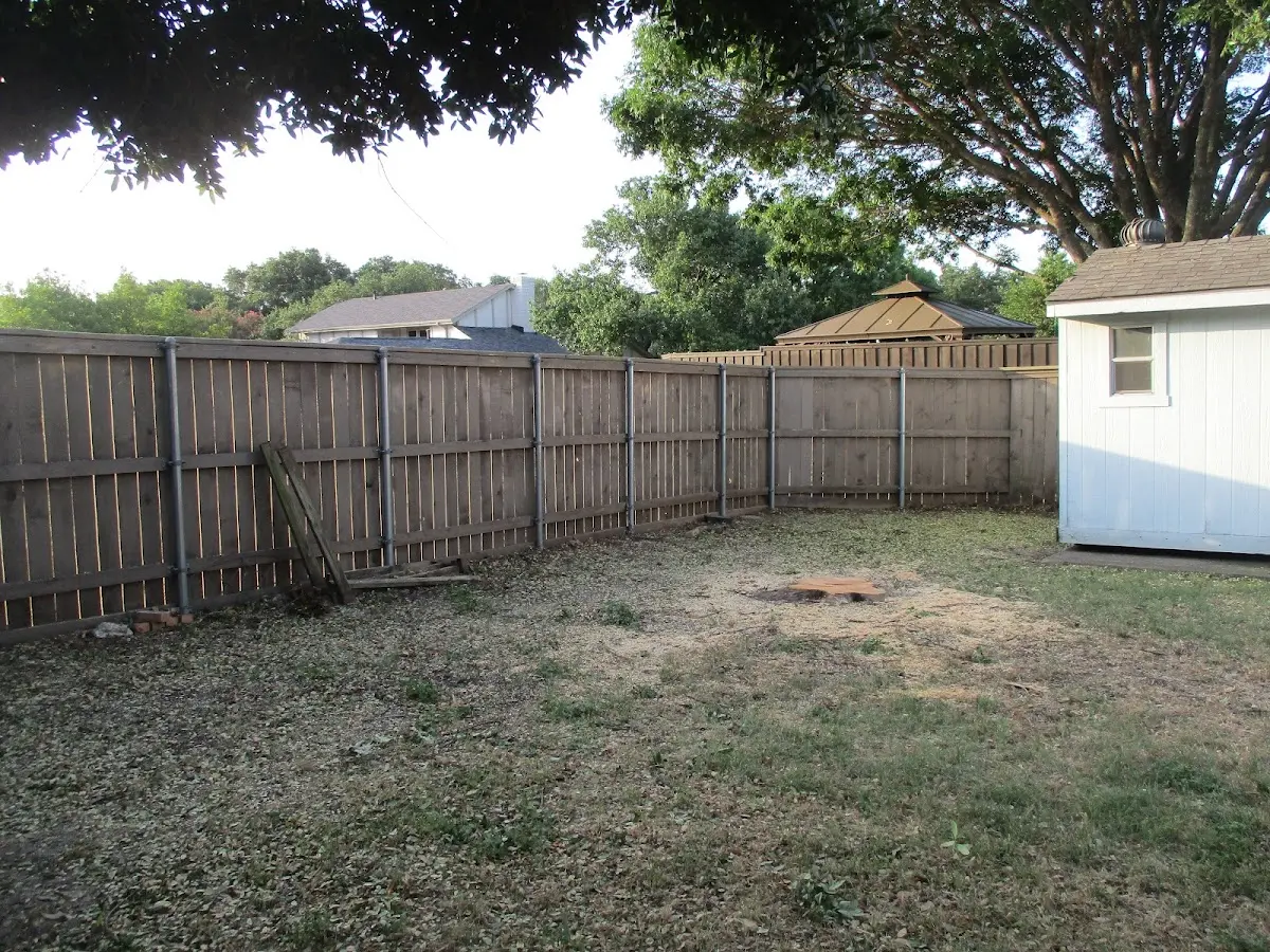 Cleared yard after professional tree removal in Biscoe